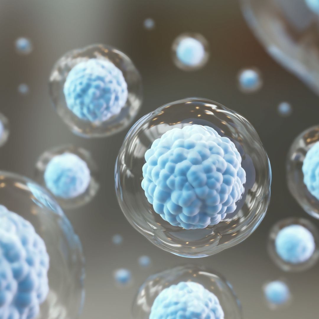 DSR Blog — recovery science